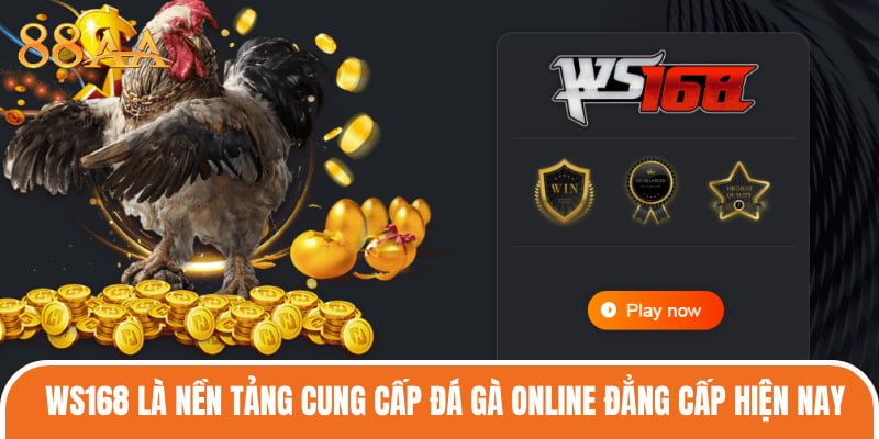 WS168 là nền tảng cung cấp đá gà online đẳng cấp hiện nay