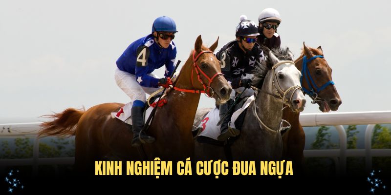 Nắm vững kinh nghiệm cá cược đua ngựa để tăng cơ hội chiến thắng
