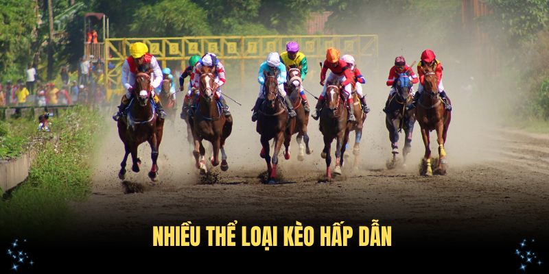 Tham gia cá cược đua ngựa với nhiều thể loại kèo hấp dẫn