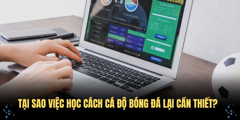 Tại sao việc học cách cá độ bóng đá lại cần thiết?